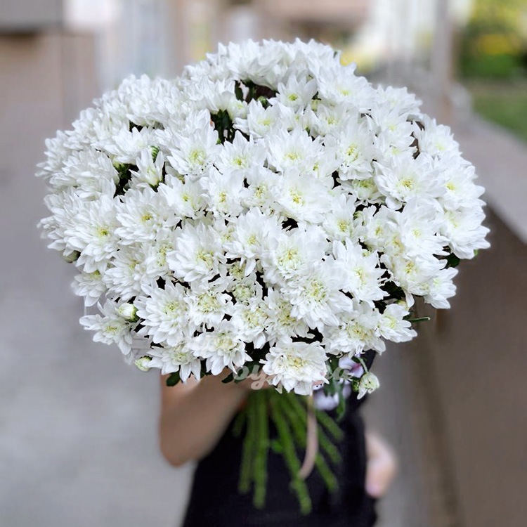 Букет из 19 белых куст. хризантем (крупный план)