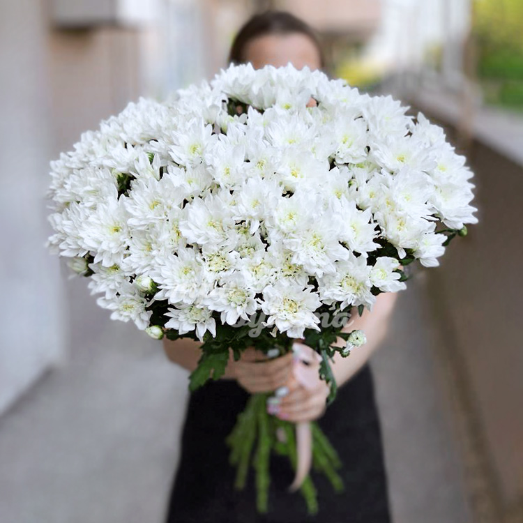 Букет из 19 белых куст. хризантем