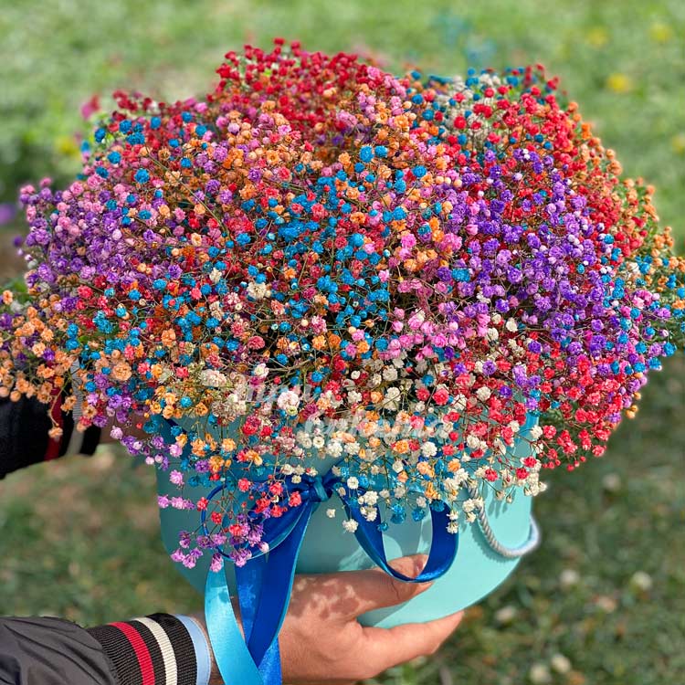 Разноцветная гипсофила в шляпной коробке (крупный план)