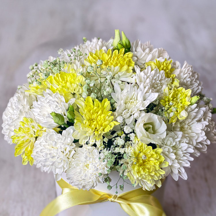 shlyapnaya-korobka-belyh-i-zheltyh-hrizantem-2 shlyapnaya-korobka-belyh-i-zheltyh-hrizantem-2