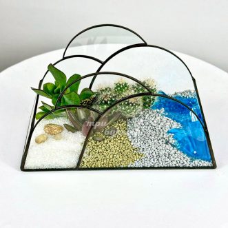 Флорариум с кактусом, суккулентами и водоемом